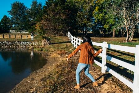 Fall Pictures